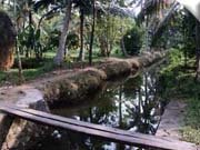 Philipkutty's Farm canal