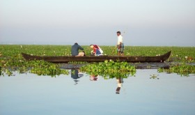 Fishing Vembanad