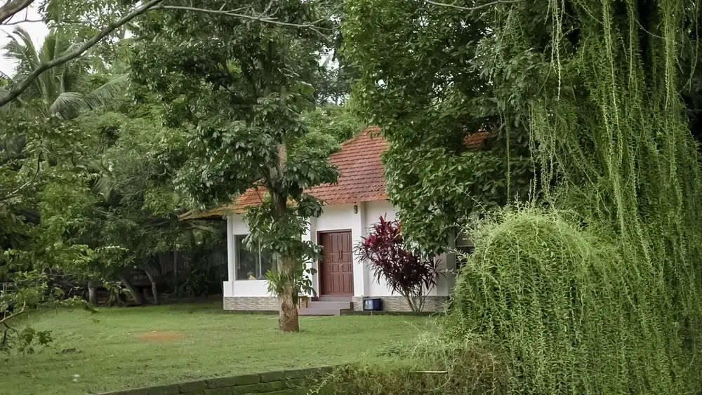 JOHNY MOOSE BACKWATER FARM